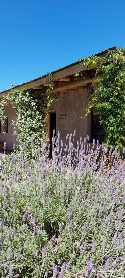 Tikaykilla Lodge & Wines Maipu  Luaran gambar